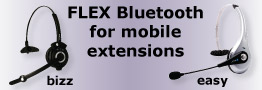 Bluetooth info